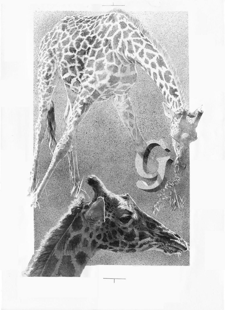 Lithographie d'Alain Ménégon Bestiaire Girafe