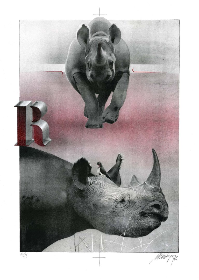 Lithographie d'Alain Ménégon Bestiaire Rinocerose