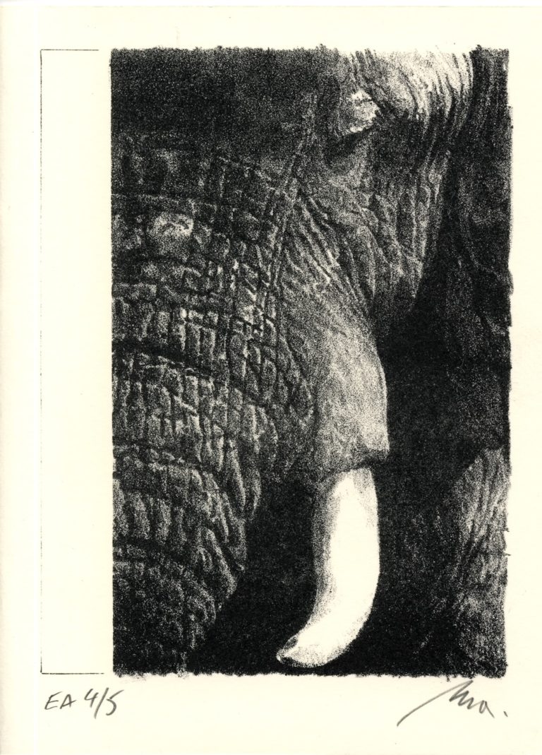 Lithographie Alain Ménégon Cartes de voeux Eléphant